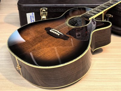 Takamine DSP-500VTS