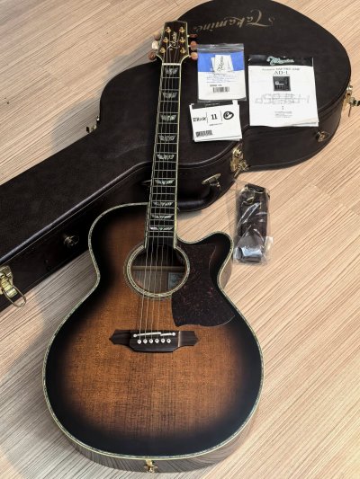 Takamine DSP-500VTS