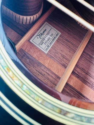 Takamine PTU-541C TBS