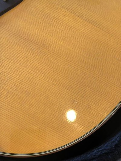 Taylor512c