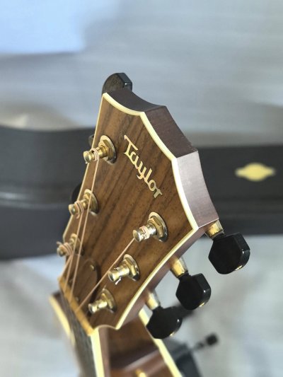 Taylor 810