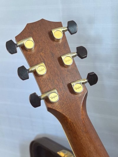 Taylor 810