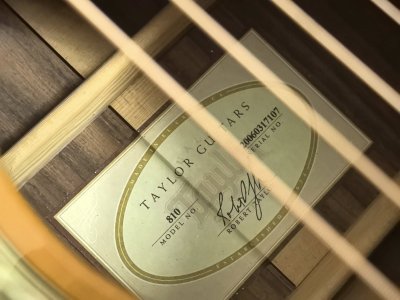Taylor 810