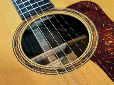 Taylor 510CE