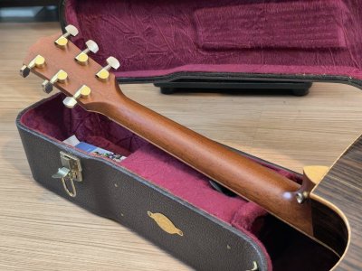 Taylor 810CE