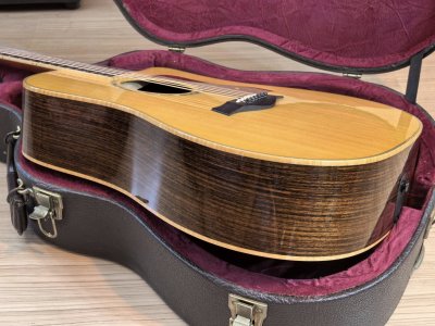 Taylor 810CE