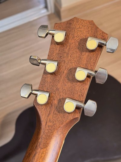 Taylor 810CE