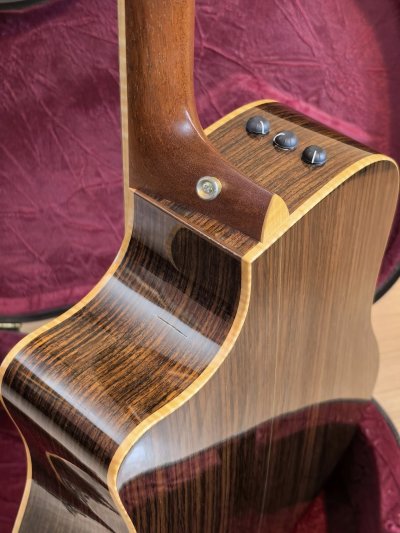 Taylor 810CE