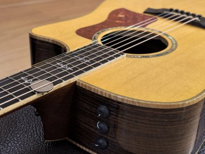 Taylor 810CE