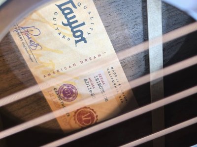 Taylor AD-11e SB Walnut