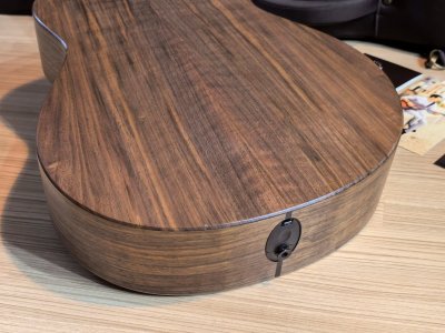 Taylor AD-11e SB Walnut