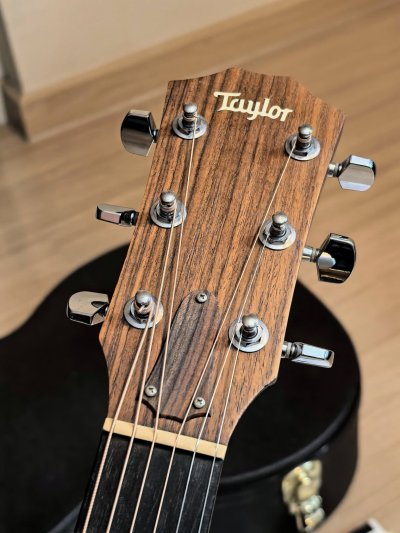 Taylor 214E DLX ES2