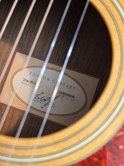 Taylor 214E DLX ES2