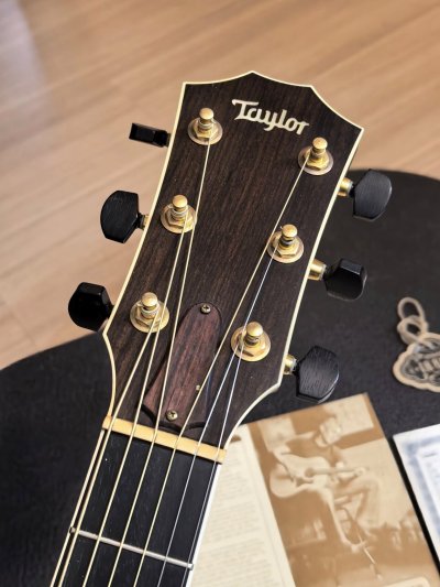 Taylor 810
