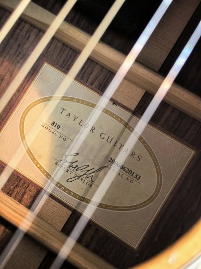 Taylor 810