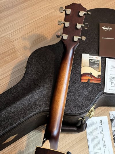 Taylor K-24CE Fall LTD (KOA )(Limited Edition ) 2017