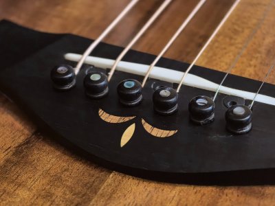 Taylor K-24CE Fall LTD (KOA )(Limited Edition ) 2017