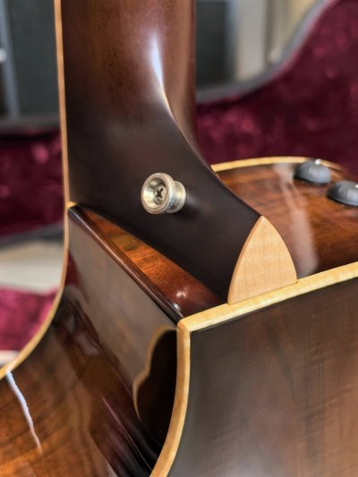 Taylor K-24CE Fall LTD (KOA )(Limited Edition ) 2017