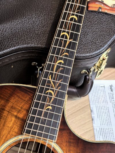 Taylor K-24CE Fall LTD (KOA )(Limited Edition ) 2017