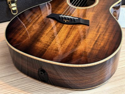 Taylor K-24CE Fall LTD (KOA )(Limited Edition ) 2017