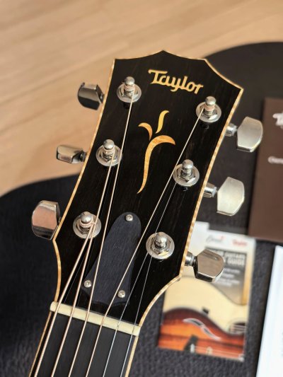 Taylor K-24CE Fall LTD (KOA )(Limited Edition ) 2017
