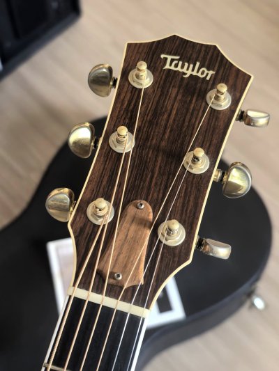 Taylor 810