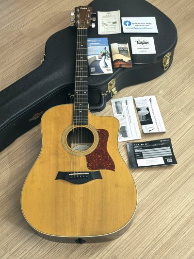Taylor 210CE DLX