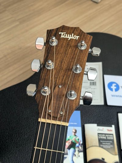 Taylor 210CE DLX
