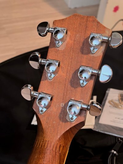 Taylor 410