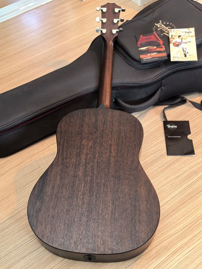 Taylor AD17e ES-2