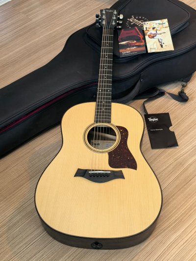 Taylor AD17e ES-2