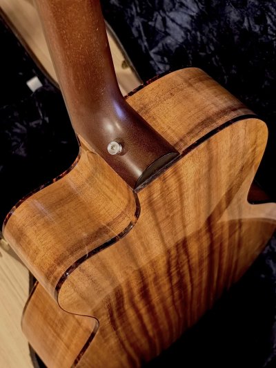 TACOMA ECC-19C