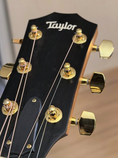 Taylor 224ce-K DLX