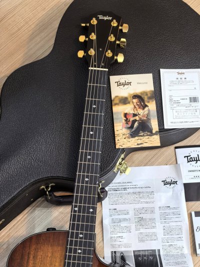Taylor 224ce-K DLX