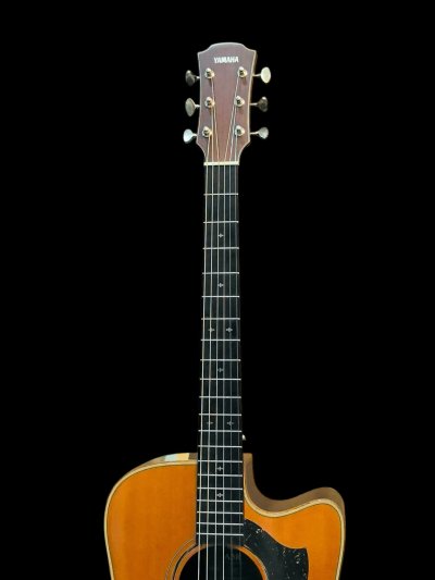 YAMAHA A5R