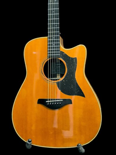YAMAHA A5R