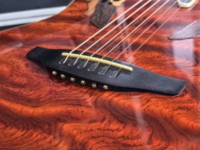 Ovation Collector 1999