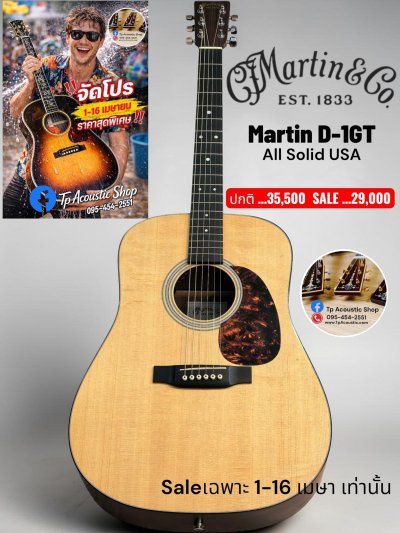 Martin D-1GT