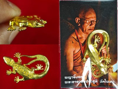 จิ้งจกมหาลาภสองหาง พระอาจารย์ประสูติ วัดในเตา จิ้งจกมหาลาภสองหาง พระอาจารย์ประสูติ วัดในเตา