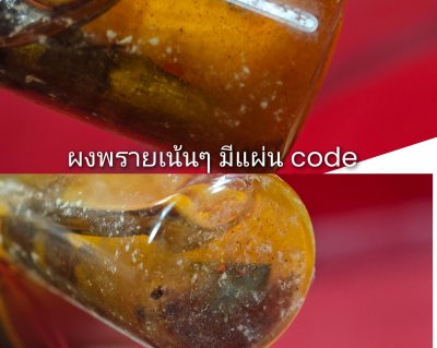 รัก-ยม รุ่น เศรษฐี​เฟื่องฟู​ วัด​คงคา​เลียบ​