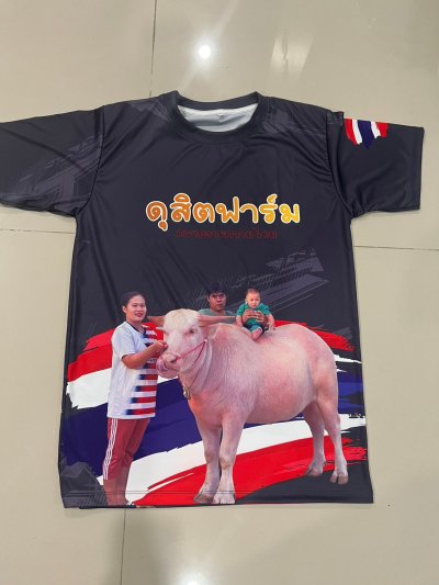 เสื้อพิมพ์ลาย