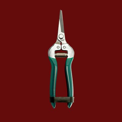 กรรไกรตัดกิ่ง ตรง