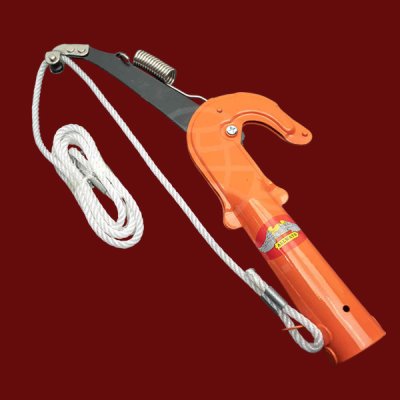 กระตุกกิ่งไม้ 1 คม