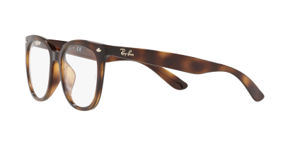 กรอบแว่นสายตา RAYBAN รุ่น 0RX4379VD-2012