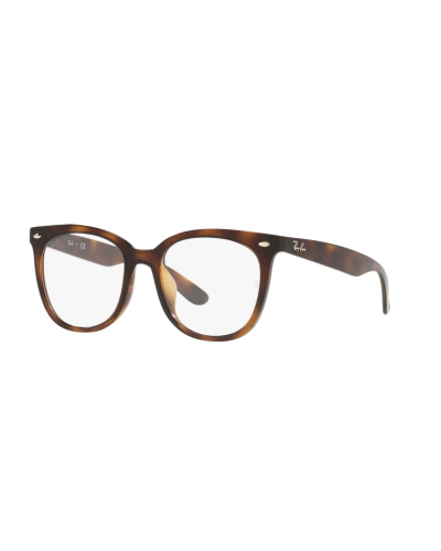 กรอบแว่นสายตา RAYBAN รุ่น 0RX4379VD-2012