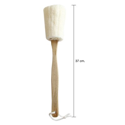 ใยบวบถูตัว