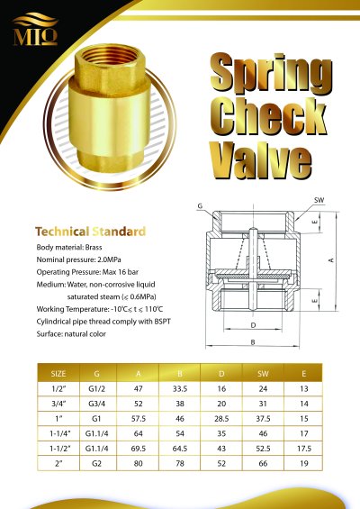 Brass Spring Check Valve - Sahakim Motor