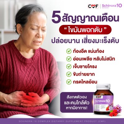 [2 กระปุก] CMF Schinora 10 Complex ผลิตภัณฑ์เสริมอาหารบำรุงตับ ลดพังผืด ฟื้นฟูตับ