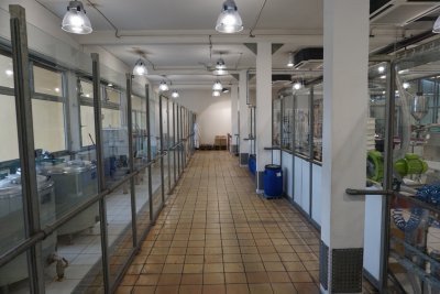 Factory