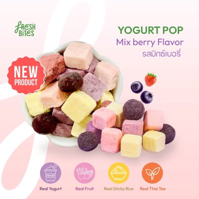 YOGURTPOP Mix Burry Flavour